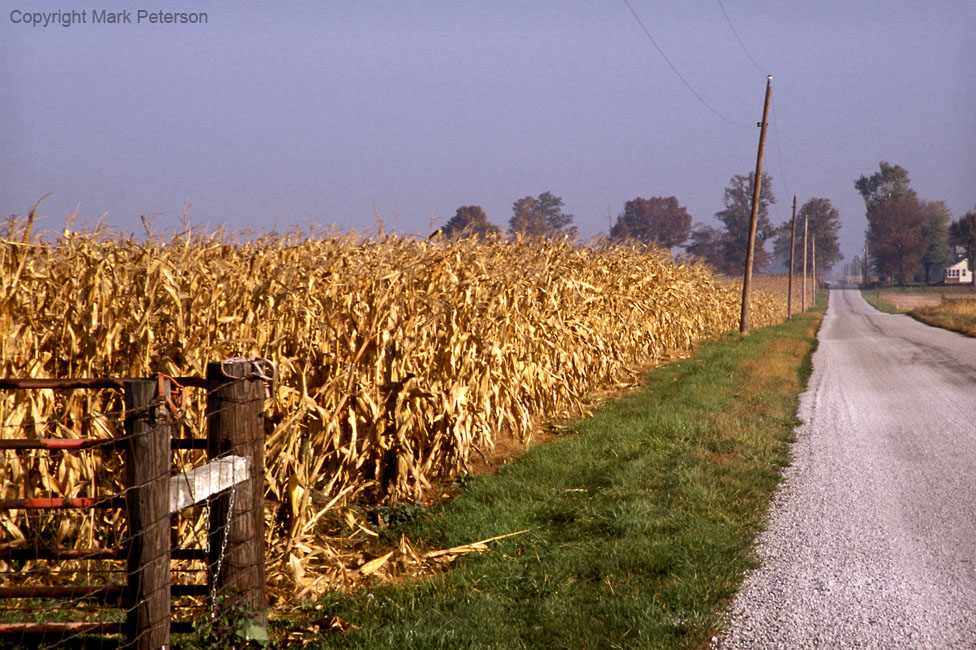 Corn-er