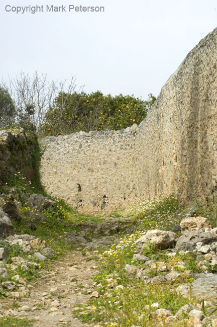 Path with oranges